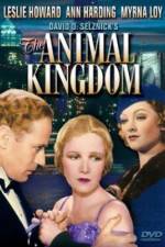 Watch The Animal Kingdom Freemovieswatch
