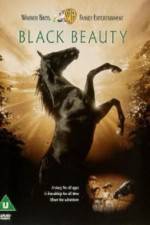 Watch Black Beauty Freemovieswatch