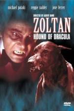 Watch Dracula's Dog Freemovieswatch