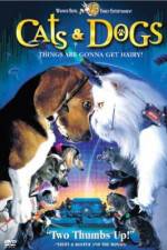 Watch Cats & Dogs Freemovieswatch