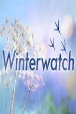 Watch Winterwatch Freemovieswatch