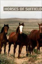 Watch Horses of Suffield Freemovieswatch