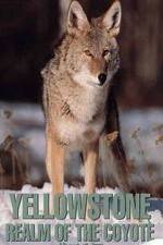 Watch Yellowstone: Realm of the Coyote Freemovieswatch