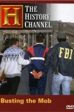 Watch The History Channel: Busting the Mob Freemovieswatch