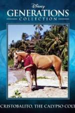 Watch Cristobalito the Calypso Colt Freemovieswatch