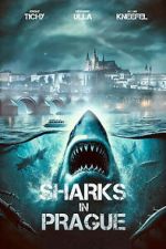 Watch Sharks in Prague Freemovieswatch