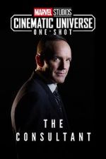 Watch Marvel One-Shot: The Consultant Freemovieswatch