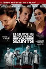 Watch A Guide to Recognizing Your Saints Freemovieswatch