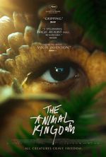 Watch The Animal Kingdom Freemovieswatch