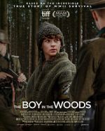 Watch The Boy in the Woods Freemovieswatch