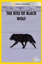 Watch The Rise of Black Wolf Freemovieswatch
