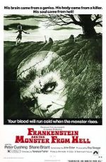 Watch Frankenstein and the Monster from Hell Freemovieswatch