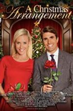Watch A Christmas Arrangement Freemovieswatch