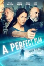 Watch A Perfect Plan Freemovieswatch
