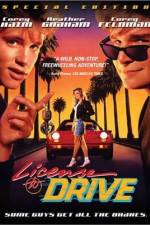 Watch License to Drive Freemovieswatch