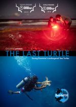 Watch The Last Turtle (Short 2019) Freemovieswatch