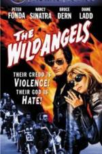 Watch The Wild Angels Freemovieswatch