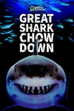 Watch Great Shark Chow Down Freemovieswatch
