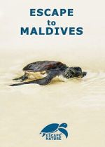 Watch Escape to Maldives Freemovieswatch