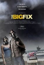 Watch The Big Fix Freemovieswatch