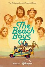 Watch The Beach Boys Freemovieswatch