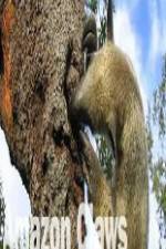 Watch National Geographic Wild Amazon Claws Freemovieswatch