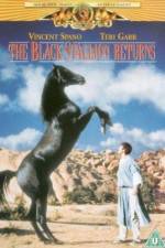 Watch The Black Stallion Returns Freemovieswatch