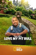 Watch Cesar Millan: Love My Pit Bull Freemovieswatch