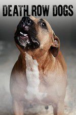Watch Death Row Dogs Freemovieswatch