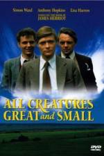 Watch All Creatures Great and Small Freemovieswatch