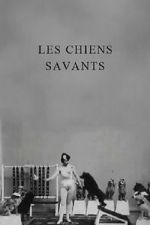 Watch Les chiens savants Freemovieswatch