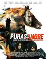 Watch Purasangre Freemovieswatch