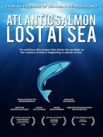 Watch Atlantic Salmon: Lost at Sea Freemovieswatch
