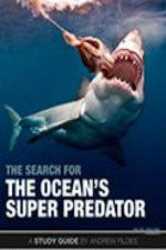 Watch The Search for the Oceans Super Predator Freemovieswatch