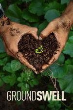 Watch Groundswell Freemovieswatch