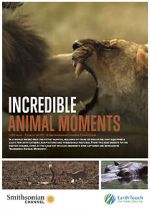 Watch Incredible Animal Moments Freemovieswatch