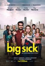 Watch The Big Sick Freemovieswatch