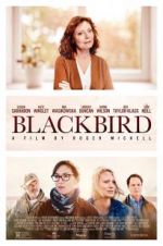Watch Blackbird Freemovieswatch