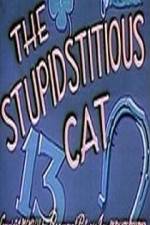 Watch Stupidstitious Cat Freemovieswatch
