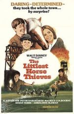 Watch The Littlest Horse Thieves Freemovieswatch