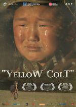 Watch Yellow Colt Freemovieswatch