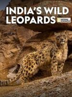 Watch India\'s Wild Leopards (Short 2020) Freemovieswatch