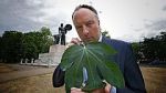 Watch Fig Leaf: The Biggest Cover-Up in History Freemovieswatch