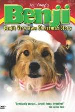 Watch Benji's Very Own Christmas Story Freemovieswatch