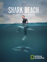 Watch Shark Beach with Chris Hemsworth (TV Special 2021) Freemovieswatch