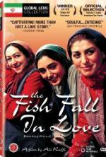 Watch The Fish Fall in Love Freemovieswatch