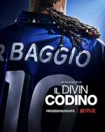 Watch Baggio: The Divine Ponytail Freemovieswatch