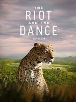 Watch The Riot and the Dance Freemovieswatch