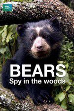 Watch Bears: Spy in the Woods Freemovieswatch