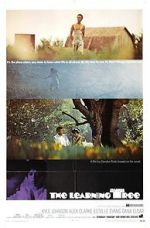 Watch The Learning Tree Freemovieswatch